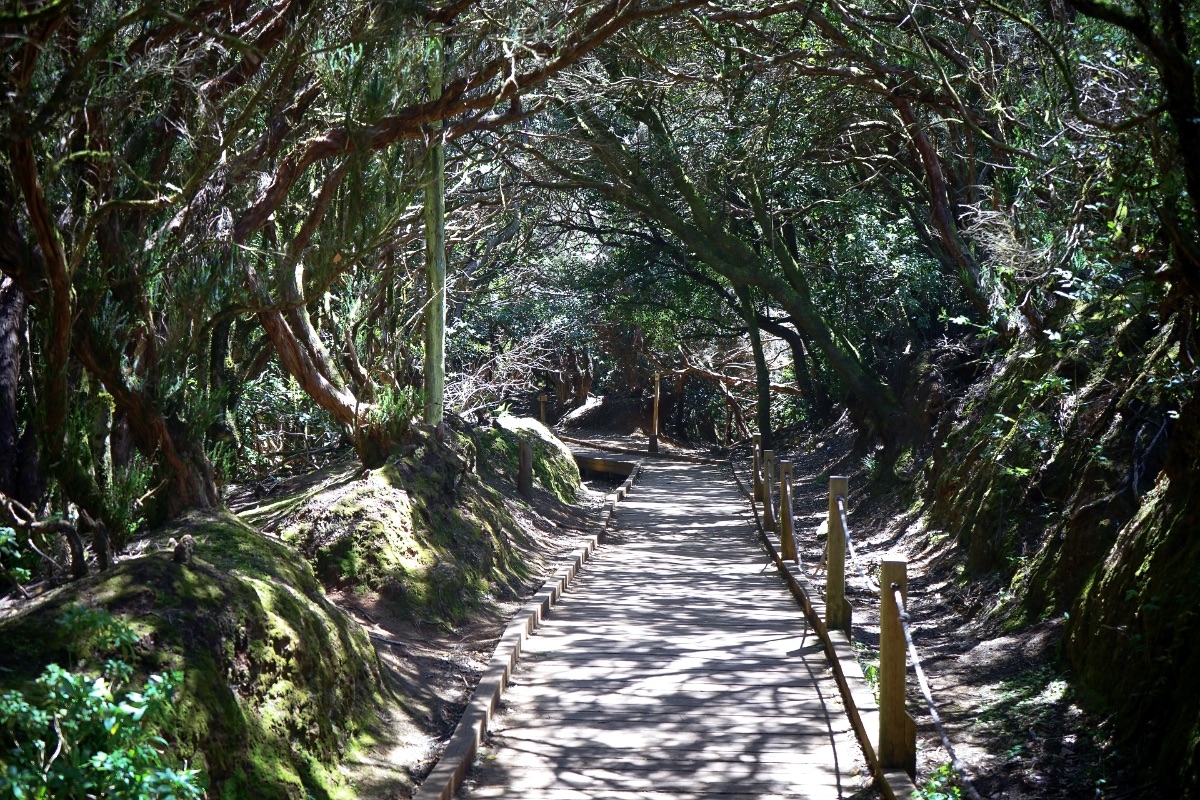 Walking trail in the Anaga mountains