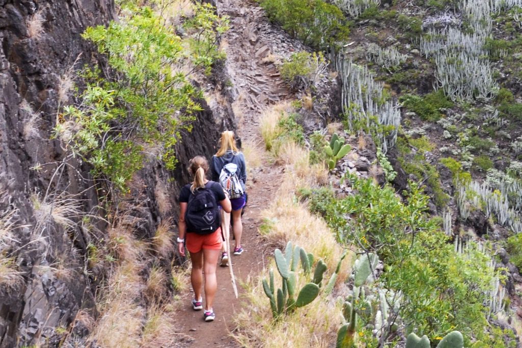 Trekking in Tenerife
